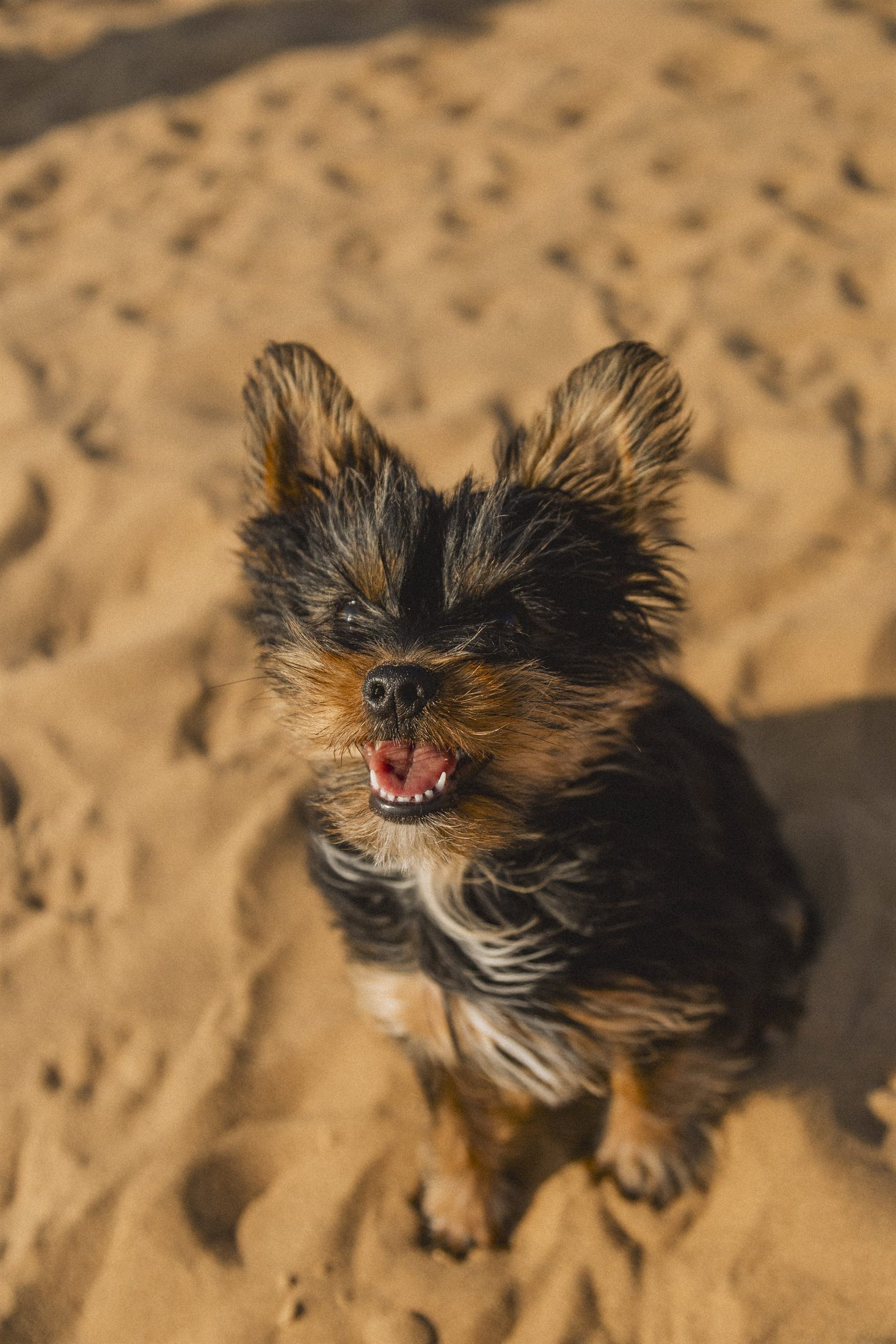Cailey Family photo shoot