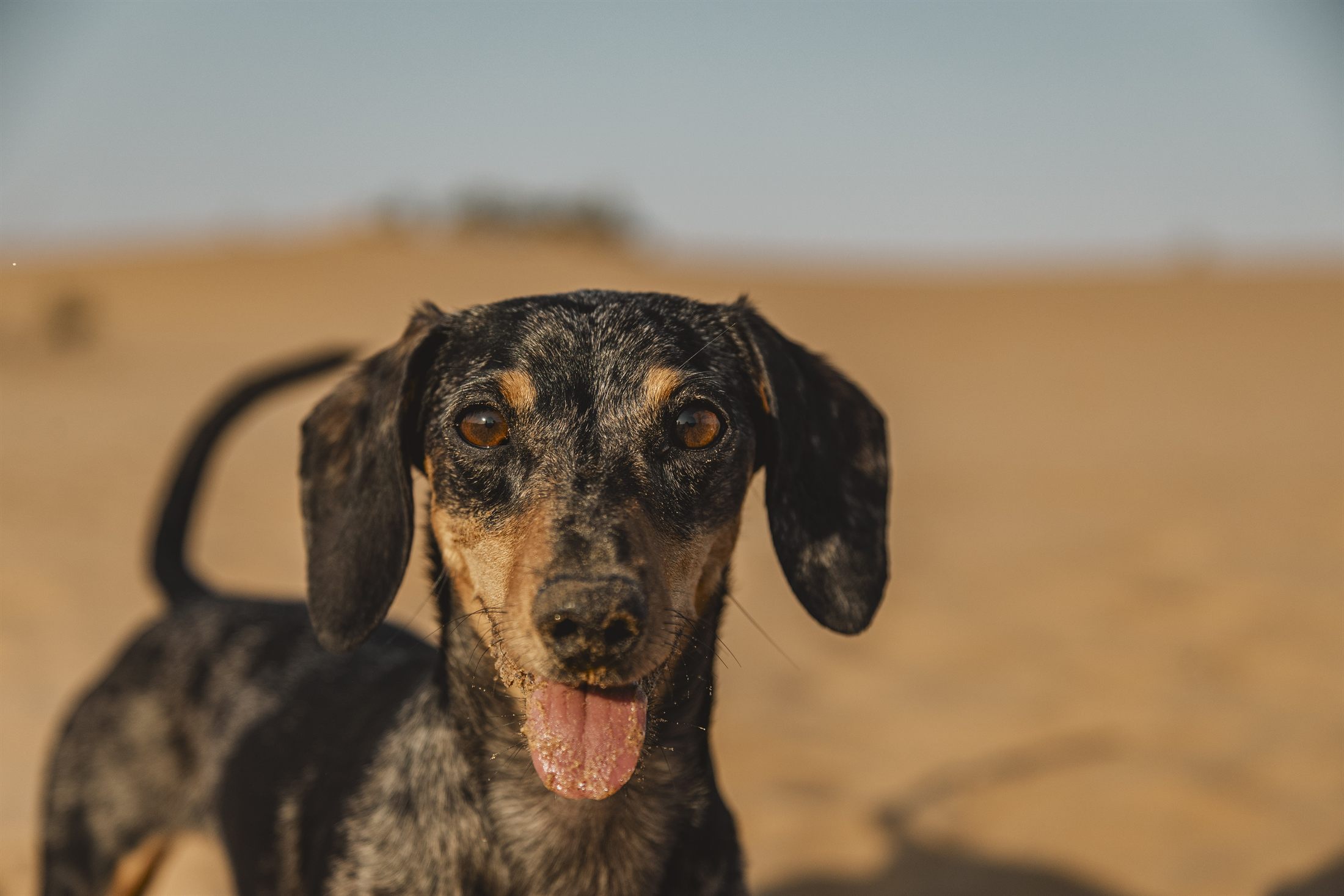 Cailey Family photo shoot